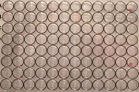 Image result for Python Pandas and Numpy Circle Image