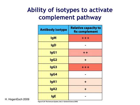 Toradh íomhá ar Complement C3 Production