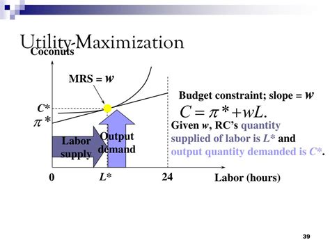 Afbeeldingsresultaten voor Utility Maximization Table
