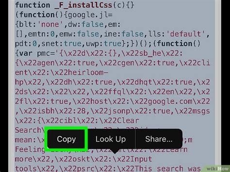 Image result for How to Copy the Code into Your Web Pages HTML Code