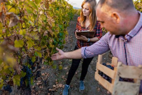 Engineer Hand Grape に対する画像結果