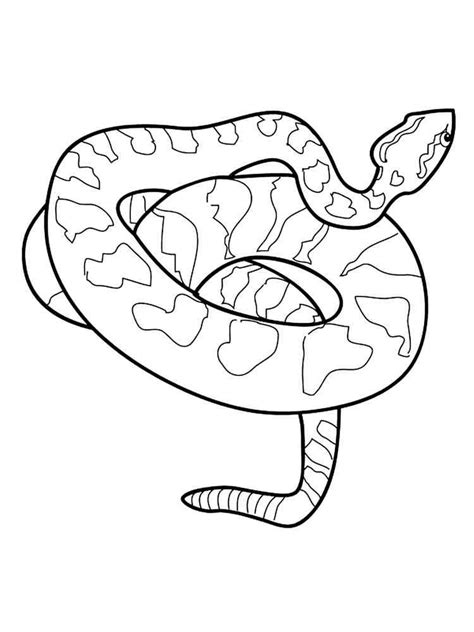 Ball Python Color Pages に対する画像結果