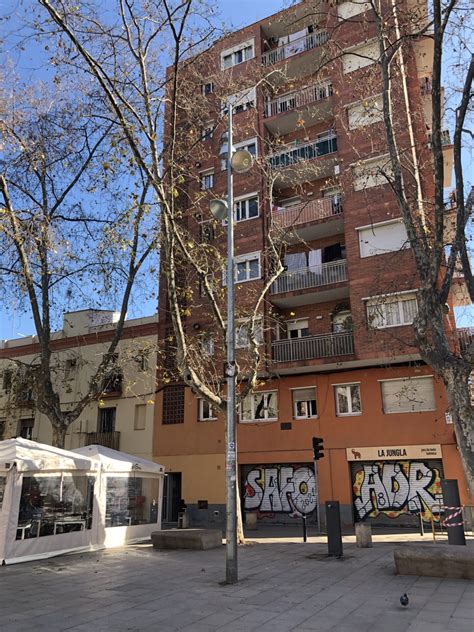 Image result for Safoe Script