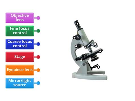 Image result for Different Lens On a Microscope Labeled