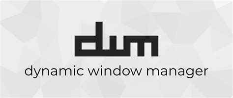 Image result for Dynamic Window Manager