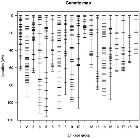 Image result for Pwhitescript Map Genetic