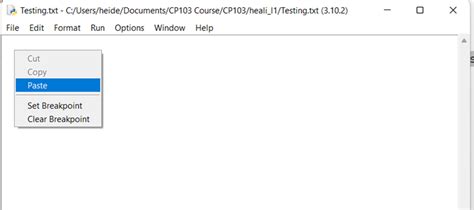 Python Projects Copy and Paste に対する画像結果