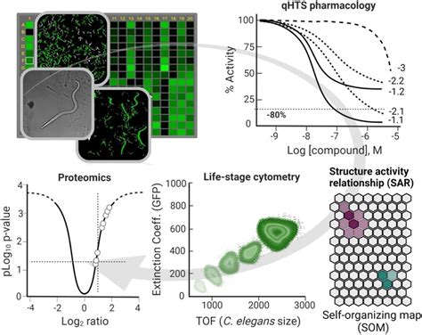 Image result for High-Throughput Screening Icon