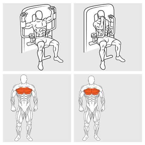 Image result for Butterfly Workout Machine