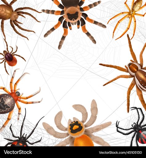 Afbeeldingsresultaten voor Realistic Spider Print
