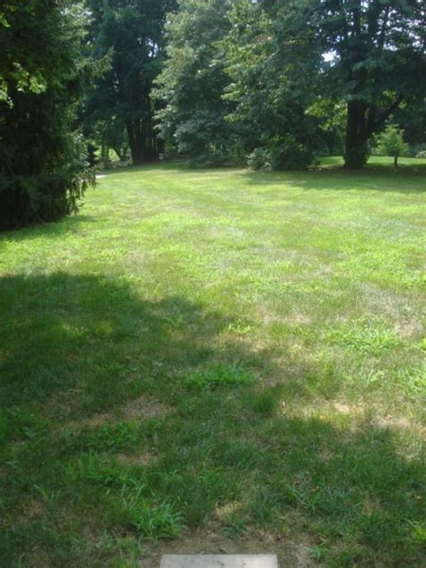 Afbeeldingsresultaten voor Mini Disc Golf Course