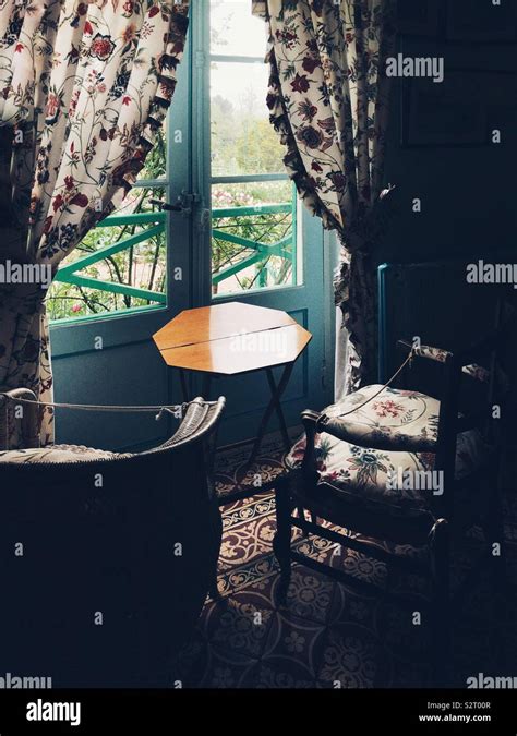 Afbeeldingsresultaten voor Tree Fern Seating Area