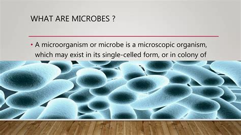 Afbeeldingsresultaten voor Microbial Growth Control