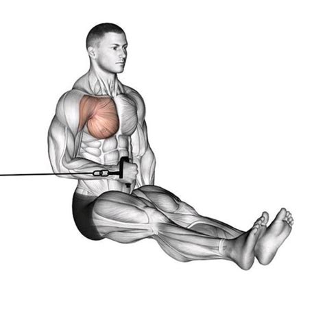 Image result for Arm Rotation