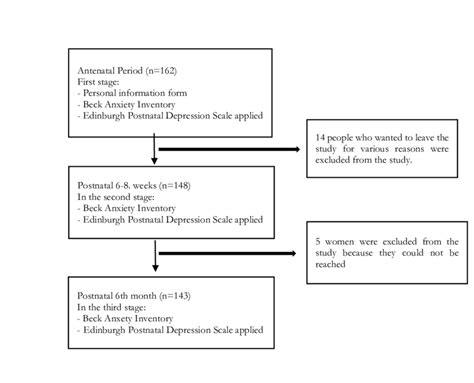 How Prepare Study Flow Chart に対する画像結果