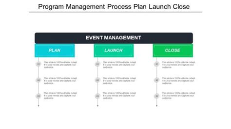 Image result for Program Management Path for Development and Launch