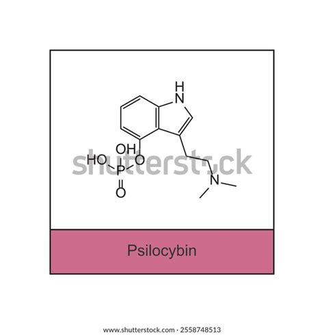 Image result for Psilocybin Compound Structure