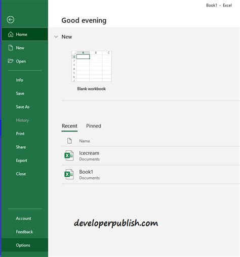 Afbeeldingsresultaten voor Excel Developer Tab