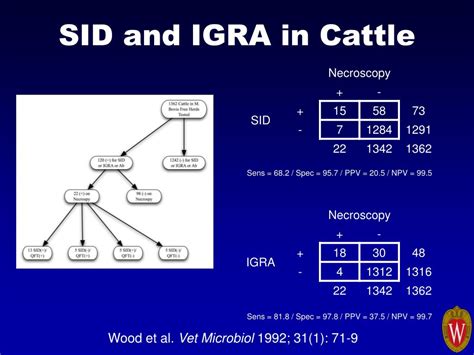 Image result for Tuberculosis Latent Stage