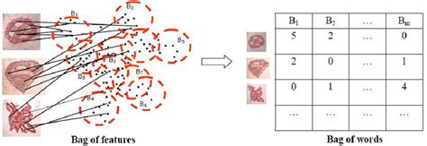 Afbeeldingsresultaten voor Random Seeding Pattern