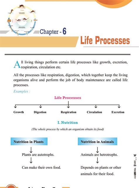 Image result for Life Processes Class 10 Flow Chart