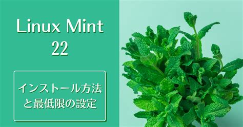 How to Install Linux 32-Bit Mint に対する画像結果