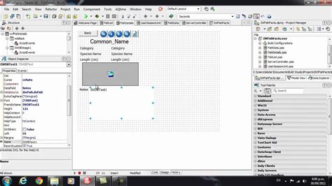 Afbeeldingsresultaten voor Interface Delphi