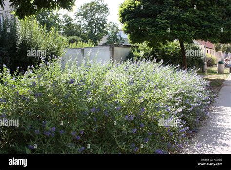 Toradh íomhá ar Programming Language Specification