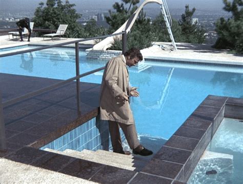 Image result for Columbo Coat