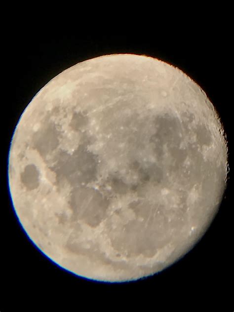 Image result for Lunar Frog Cosmetics