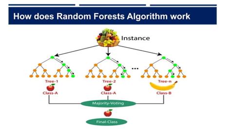 Image result for Random Forest Algorithm Fonctionnement