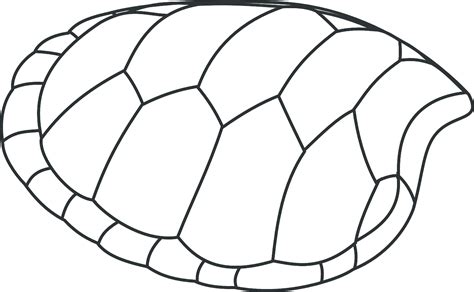 Afbeeldingsresultaten voor Turtle Shell Graphic