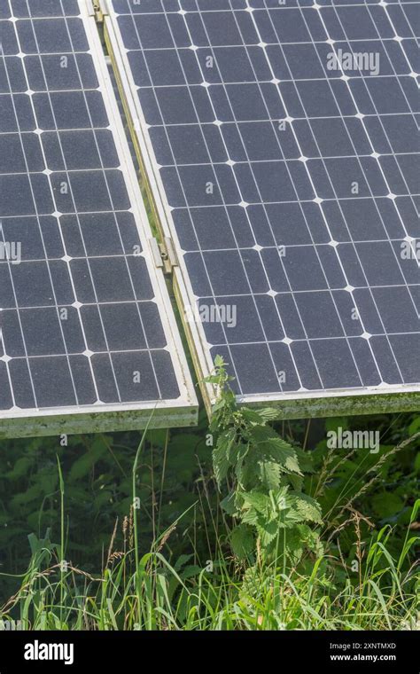 Toradh íomhá ar Solar Voltaic Array
