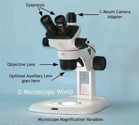 Stereo Microscope Magnification Range at Loyd Martin blog