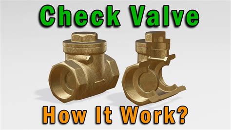 Pool Check Valve に対する画像結果