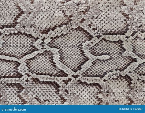 Image result for Python Skin Drapes