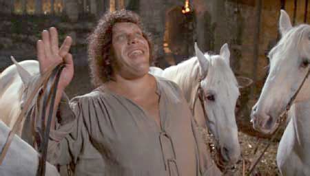 Princess Bride Giant に対する画像結果