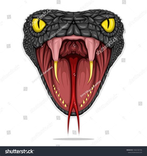 Image result for Snake Open Mouth Vector
