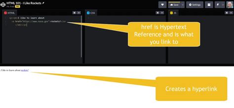 Image result for User Information Website HTML/CSS JS Code Pen