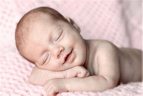 Afbeeldingsresultaten voor Baby Seagull in Nest