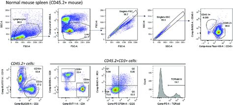 Image result for Mouse DC Microscope