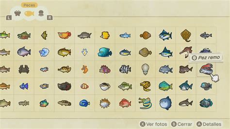 Image result for All Fish and Insects in Animal Crossing
