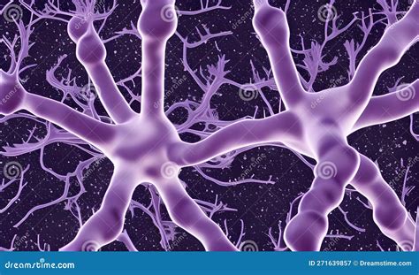Image result for Neuron Cell Model