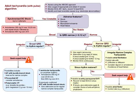 Image result for Aslx Algorithm Poster
