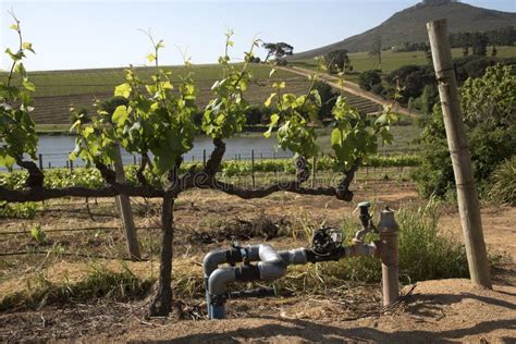 Image result for Edge Impulse Vineyard Irrigation