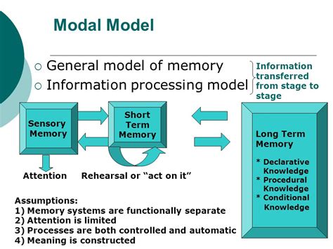 Toradh íomhá ar Short-Term Memory Converted to Long-Term Memory