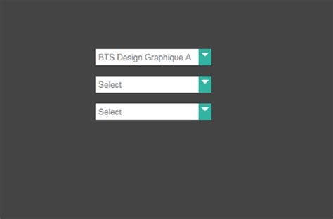 Image result for CSS Select Box HTML