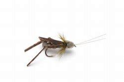 Image result for Cricket Dry Fly Pattern