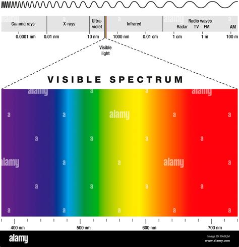 Image result for Visible Spectrum