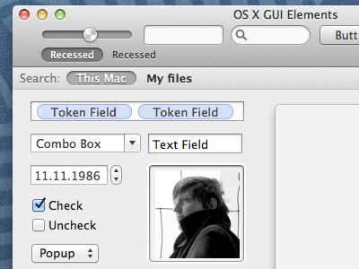 Image result for OS X GUI Elements
